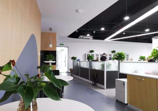 青島市北區企業管理公司簡歐風格辦公室裝修效果圖